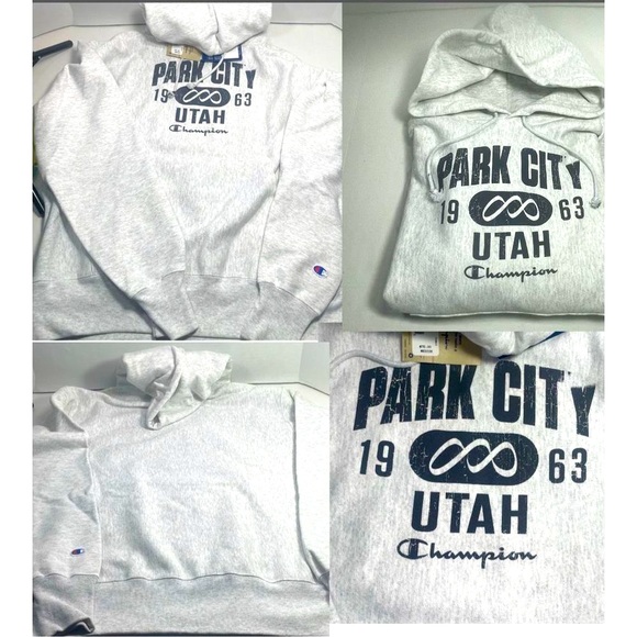 BNWT Champion Reverse Weave Park City Distressed Hoodie Unisex/Men’s M - Picture 10 of 16